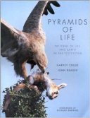 pyramids of life